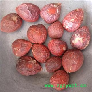 铁树果 正品保证质量7天无理由退货退款 华安堂图3