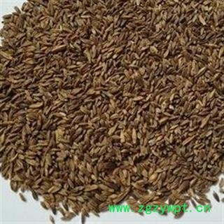 北鹤虱 正品保证质量7天无理由退货退款 安品堂图3