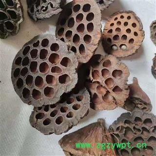 安祁名药中药材 莲房   莲蓬图2