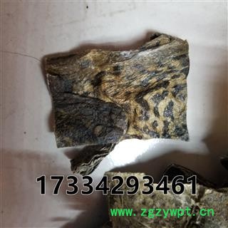 蟾皮  蟾壳 蟾蜕 蛤蚆皮 癞蟆皮图4