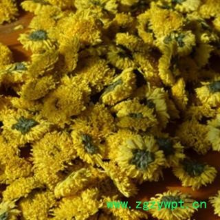 安祁名药菊花 黄山贡菊图2