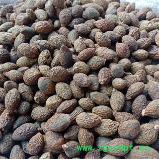 胖大海 大海正品保证实图拍照 中药材批发 丽丽药业图2