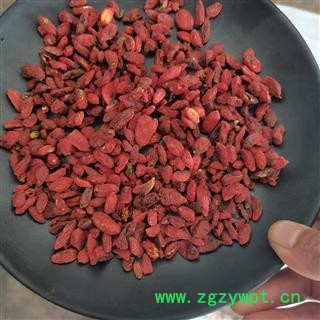 药用枸杞子 不能茶用 大粒 大粒枸杞子 正品保证质量 无理由退货退款图2