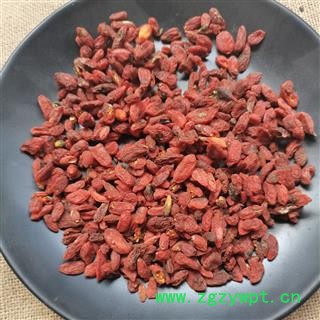 药用枸杞子 不能茶用 大粒 大粒枸杞子 正品保证质量 无理由退货退款图3