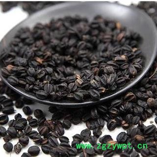 刺五加籽 干净无杂质正品保证质量7天无理由退货退款 中药材批发 安品堂图4