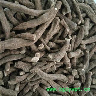 人参果 蕨麻 凤果 长寿果 莲花菜 蕨麻委陵菜 开口箭 人头七  华安堂图3