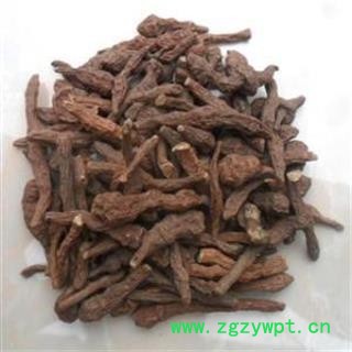 人参果 蕨麻 凤果 长寿果 莲花菜 蕨麻委陵菜 开口箭 人头七  华安堂图2