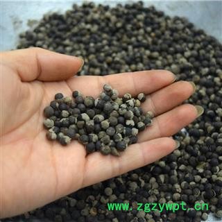 蔓荆子干净无杂质粒粒饱满正品保证质量7天无理由退货退款 中药材批发 丽丽药业图4