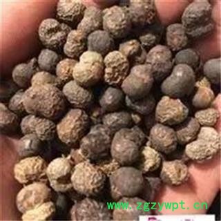 棕榈子 正品保证质量7天无理由退货退款 安品堂图3