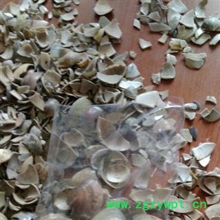 诺源药材行中药材生瓦楞子 段瓦楞子  蚶壳 魁蛤壳图2