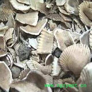 诺源药材行中药材生瓦楞子 段瓦楞子  蚶壳 魁蛤壳图4