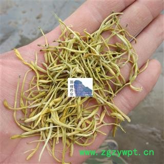 山银花 山银花 金银花 纯干 自然色 国峰药业重在品质 产地 河南省图2