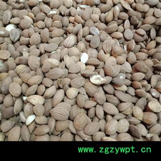 丽丽药业 桃仁山桃仁苦仁 中药材批发 正品保证实图拍照7天无理由退货退款图2