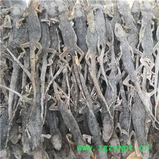 诺源药材行中药材优质国产壁虎 另有进口货图3