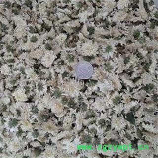 贡菊花 精选无硫七月菊花 今年新货 促销中 产地 浙江省图2