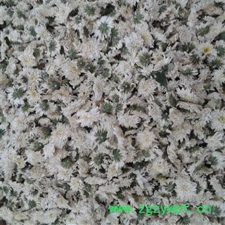 贡菊花 精选无硫七月菊花 今年新货 促销中 产地 浙江省图3