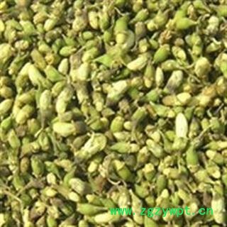 槐米 统 今年新货 颜色好  产地 山东省图2