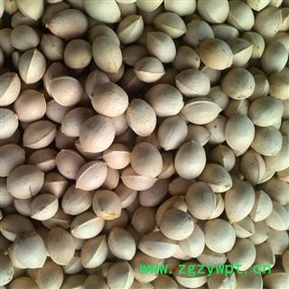 白果 白果统货 产地 江苏 华美中药 产地直销 重在品质图4