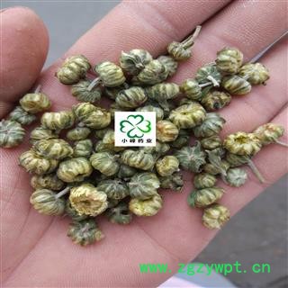 胎菊 胎菊 颜色好 新货 纯干  产地 浙江省图2