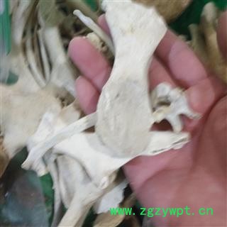 安祁名药正品中药材新货 狗骨头 狗骨图3