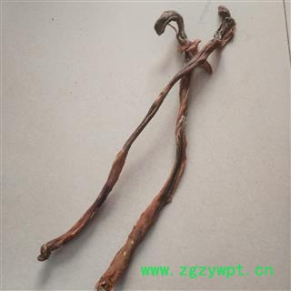 安祁名药正品羊鞭 优质干货图2