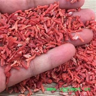 安祁名药珊瑚 红珊瑚  入药供佛图3