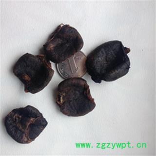 安祁名药猫胎盘 猫胎衣图2