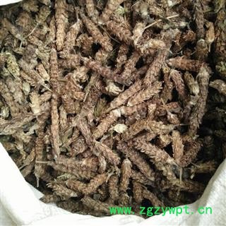 夏枯球 夏枯球净货 产地 河南 华美中药 产地直销 重在品质图3