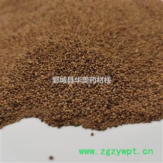 菟丝子1000克【至臻华美】中药材批发供应【精选菟丝子】菟丝子图3