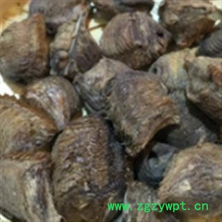 安祁名药桑螵蛸 生桑螵蛸图2