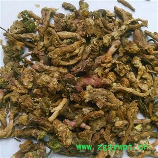 款冬花 款冬花统货 产地 甘肃省图2