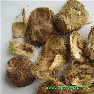 大腹皮 统 产地 云南省  华美中药 产地直销 重在品质图3