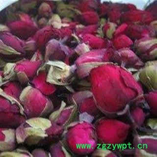 月季花 统 产地 山东省图2