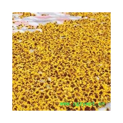 雪菊 统 产地 新疆维吾尔自治区昌吉回族自治州玛纳斯县  大货批发价