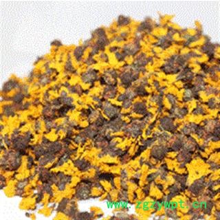 雪菊 统 产地 新疆维吾尔自治区昌吉回族自治州玛纳斯县  大货批发价图2