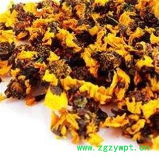 雪菊 统 产地 新疆维吾尔自治区昌吉回族自治州玛纳斯县  大货批发价图3