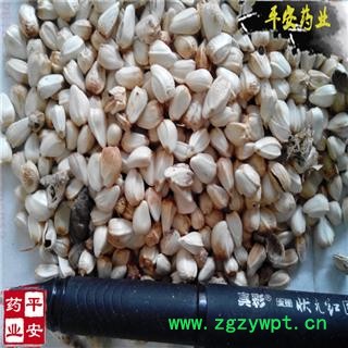 平安药业 红花子 正品 红花籽 草红花种子 红蓝子 白平子图2