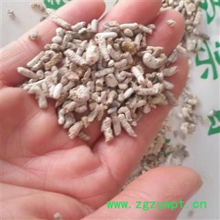 安祁名药中药材白丁香 雀苏 麻雀粪 白丁香图2