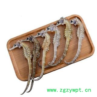 【买5送1】海马 南洋优质海马1.5g左右1对图3