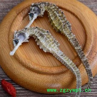 【买5送1】海马 南洋优质海马1.5g左右1对图2