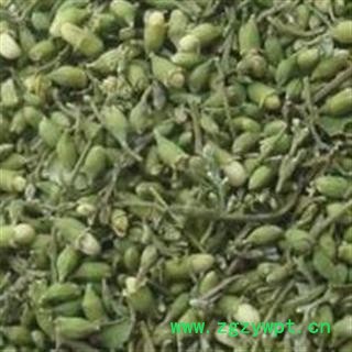 小丽百草行槐米 新货颜色好图2