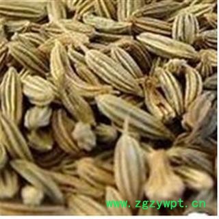 孜然 孜然 统 安顺药业  专注品质 产地 广西壮族自治区图2