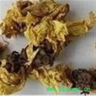 小丽百草行一丈红 黄蜀葵花 吴葵花 侧金图2