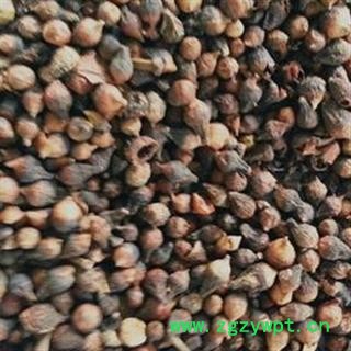 小丽百草行中药材水翁花 水雍花、大蛇药图2