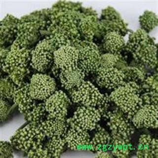 小丽百草行云南文山3年无杆三七花/田七花 今年新花产地直销图2