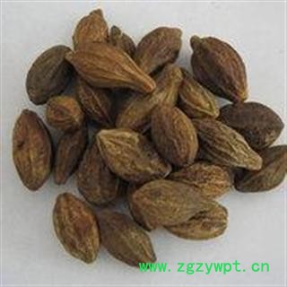 诃子 选货 产地 广西壮族自治区图2