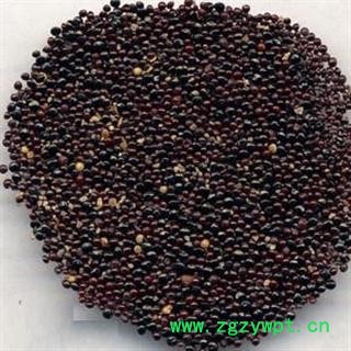 青葙子 选货 产地 河南省图2