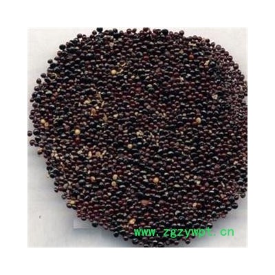 青葙子 选货 产地 河南省