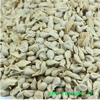 橘核 正品保证质量7天无理由退货退款 安品堂图2