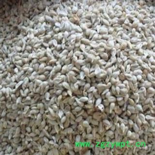 橘核 正品保证质量7天无理由退货退款 安品堂图4